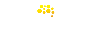 have-consultoria-logo2